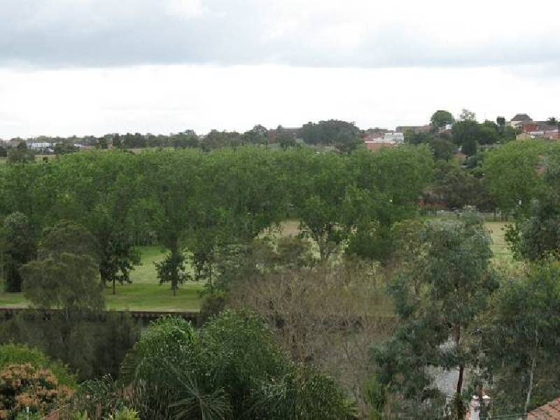 43 Homer Street, Earlwood NSW 2206