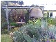36 Berna Street, Canterbury NSW 2193