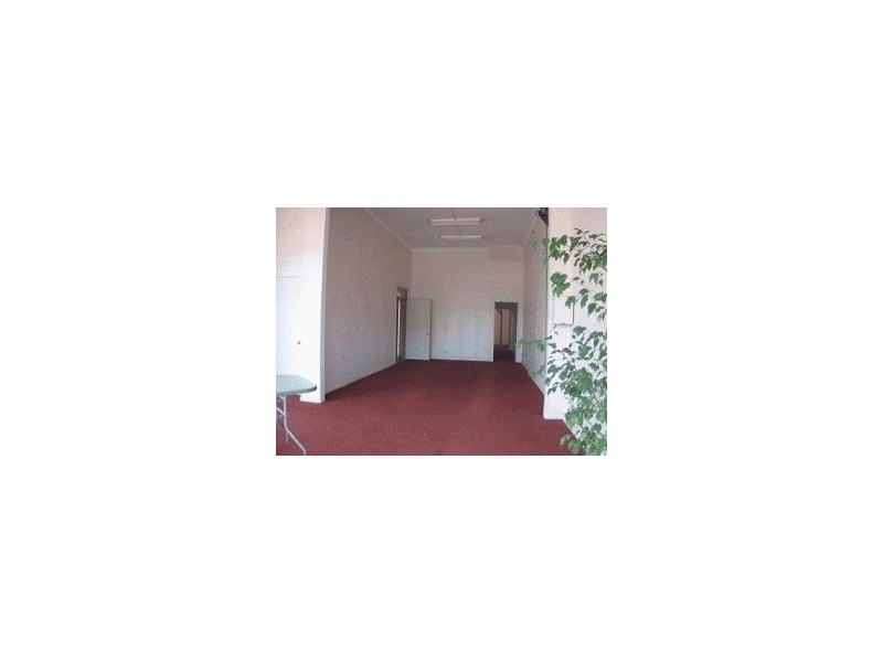 5 Crinan Street, Hurlstone Park NSW 2193