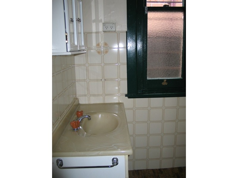 48 Canterbury Road, Hurlstone Park NSW 2193