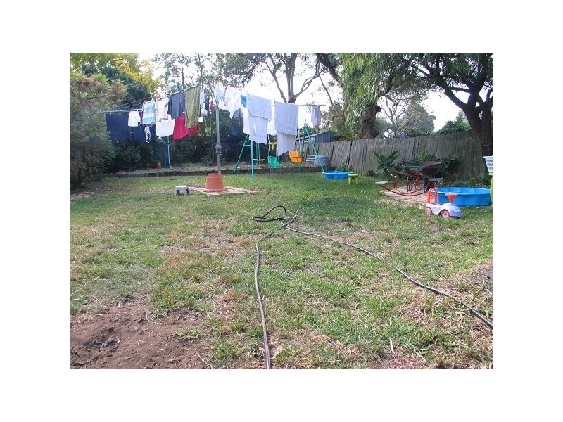 7 Hardy Street, Ashfield NSW 2131