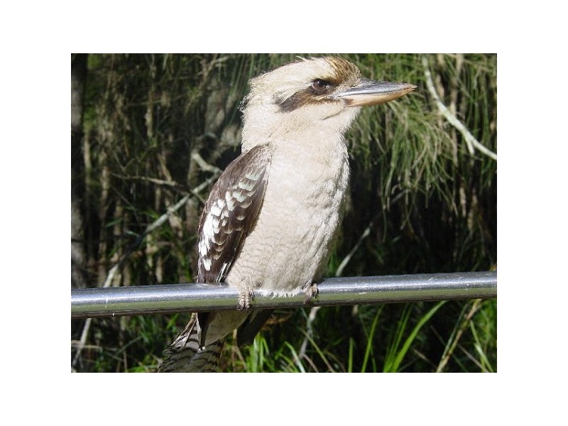 52 LIVERPOOL STREET, Bundeena NSW 2230