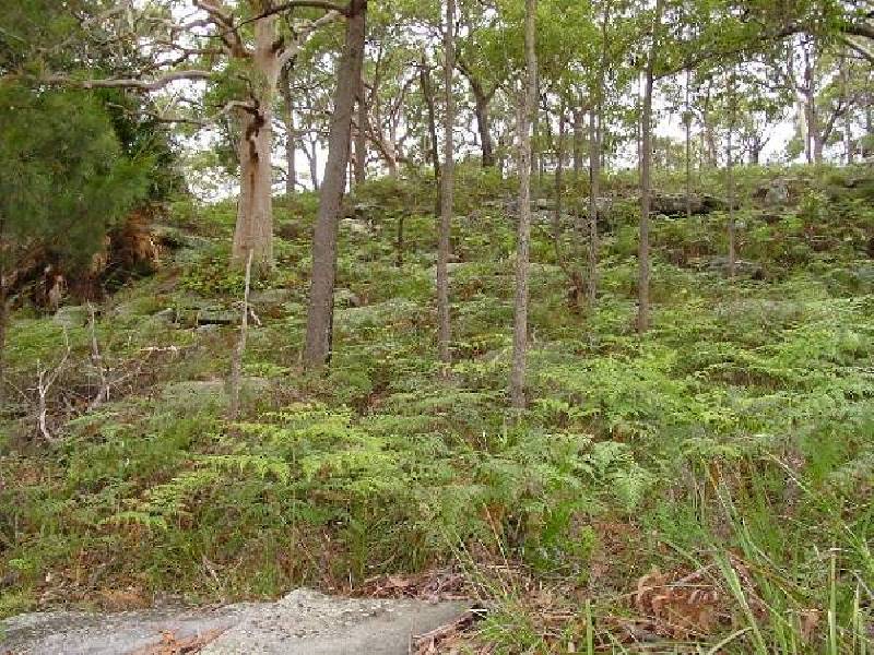 80 PACIFIC CRESCENT, Maianbar NSW 2230