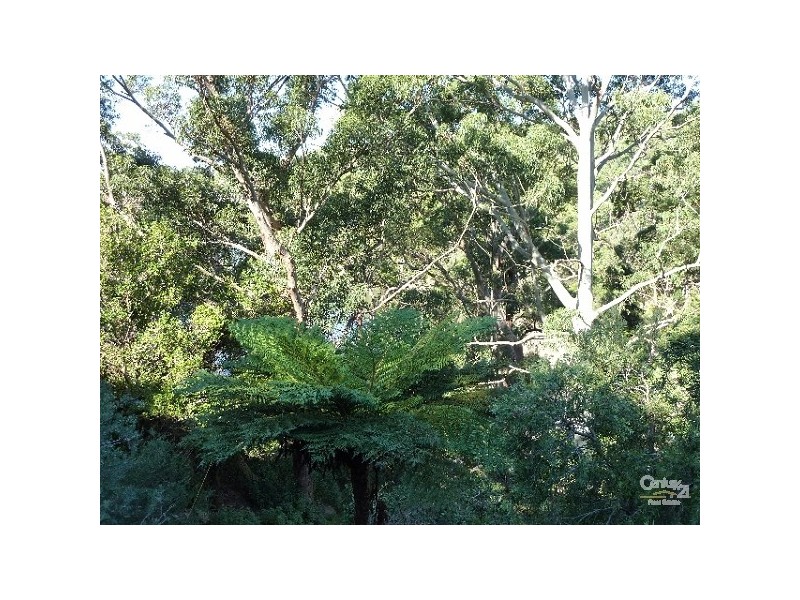 38 CULLEN LANE, Maianbar NSW 2230