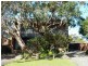 12 BERNIE STREET, Bundeena NSW 2230