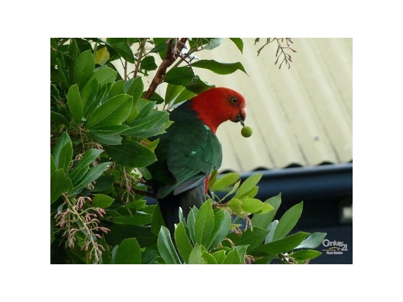 60 BRIGHTON STREET, Bundeena NSW 2230