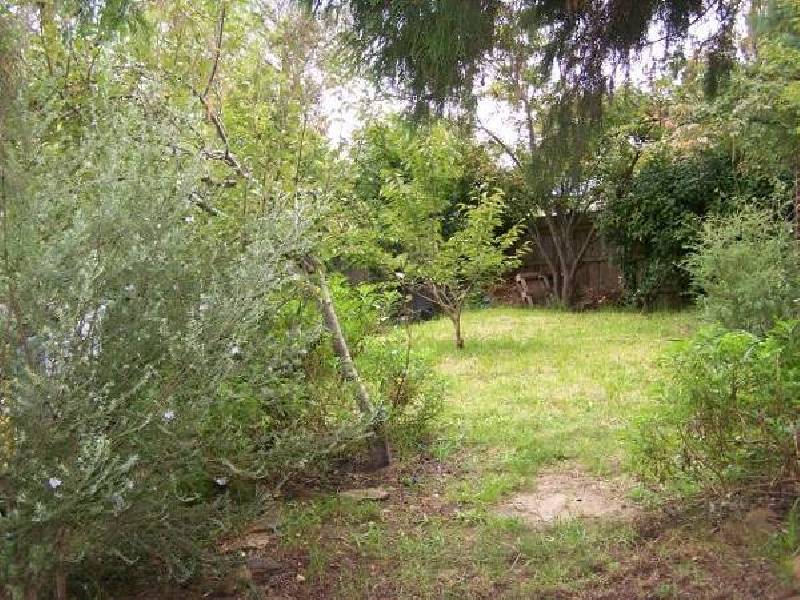 33 Westbourne Ave, Wentworth Falls NSW 2782