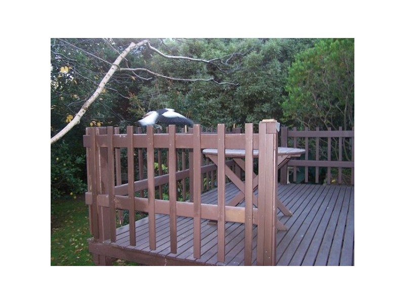 34 Winston St, Leura NSW 2780