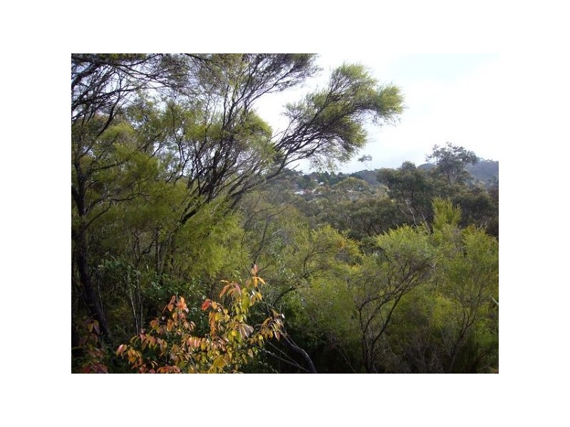 49 Leura Mall, Leura NSW 2780