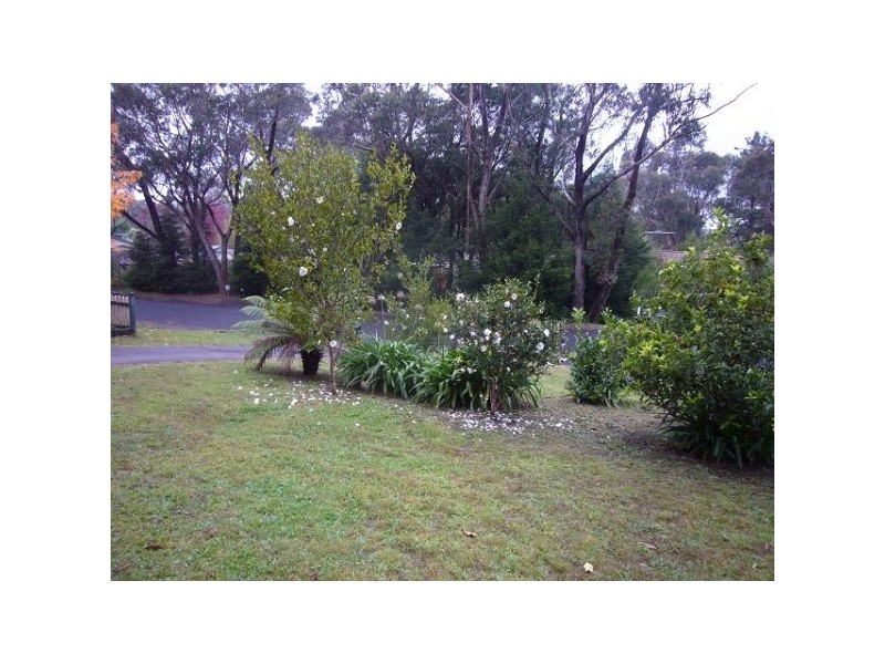 34 Flora St, Wentworth Falls NSW 2782