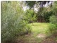 33 Westbourne Ave, Wentworth Falls NSW 2782