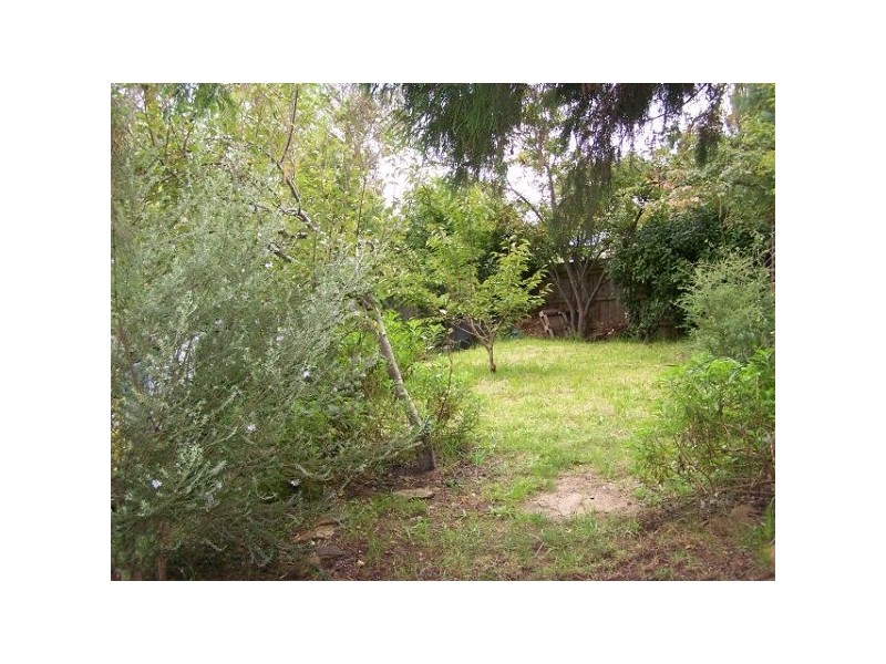 33 Westbourne Ave, Wentworth Falls NSW 2782