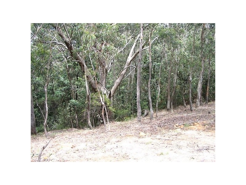 89 Henderson Rd, Wentworth Falls NSW 2782