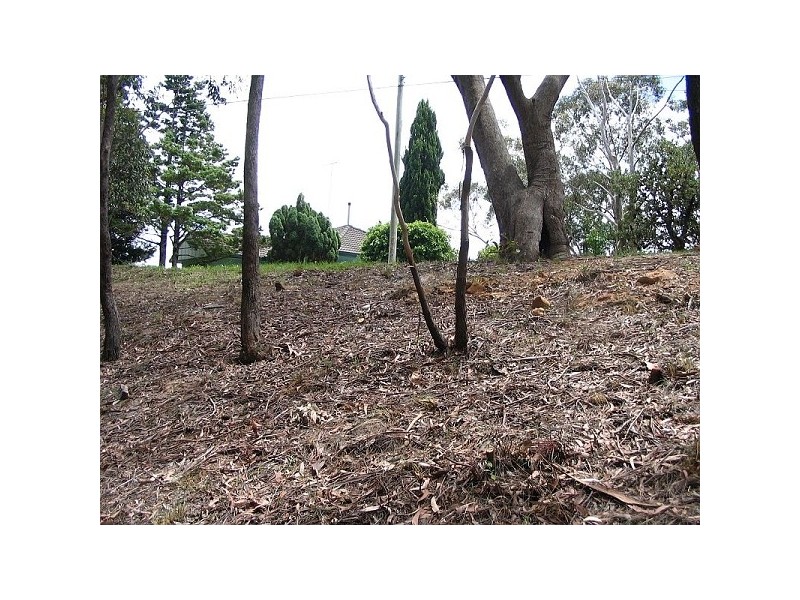 89 Henderson Rd, Wentworth Falls NSW 2782