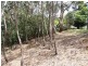 89 Henderson Rd, Wentworth Falls NSW 2782