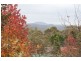 3 Panorama Cr, Wentworth Falls NSW 2782