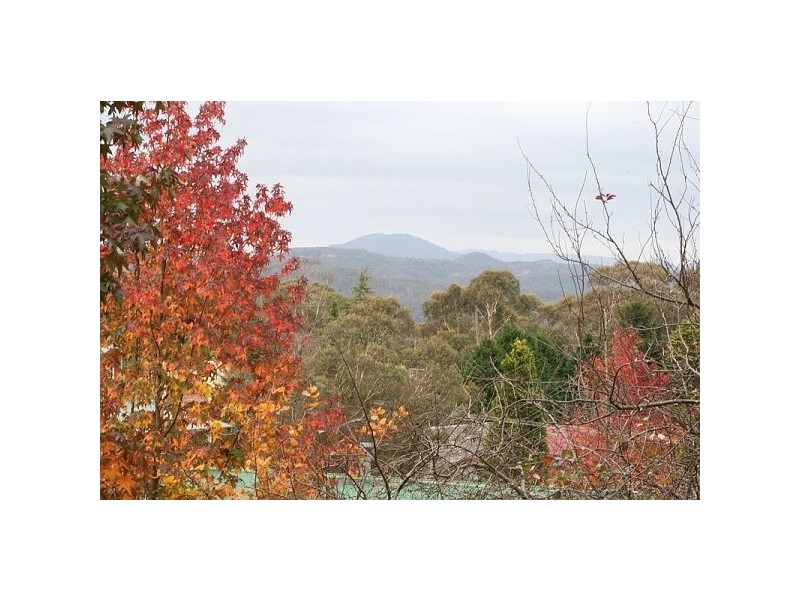 3 Panorama Cr, Wentworth Falls NSW 2782