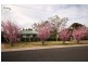 3 Panorama Cr, Wentworth Falls NSW 2782