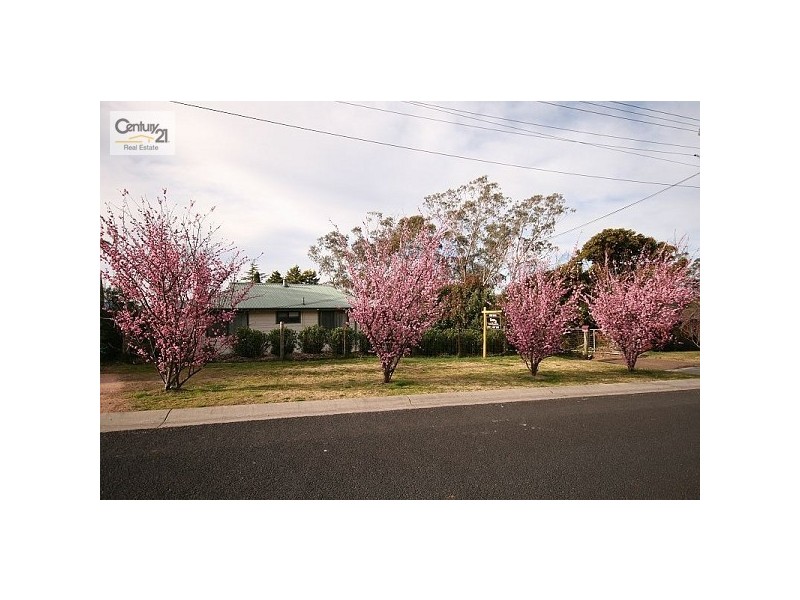 3 Panorama Cr, Wentworth Falls NSW 2782