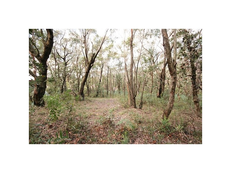 35 Kent St, Bullaburra NSW 2784