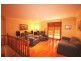 4 Waratah Rd, Wentworth Falls NSW 2782