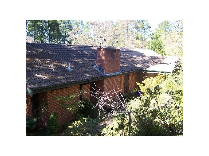 164 Falls Rd, Wentworth Falls NSW 2782