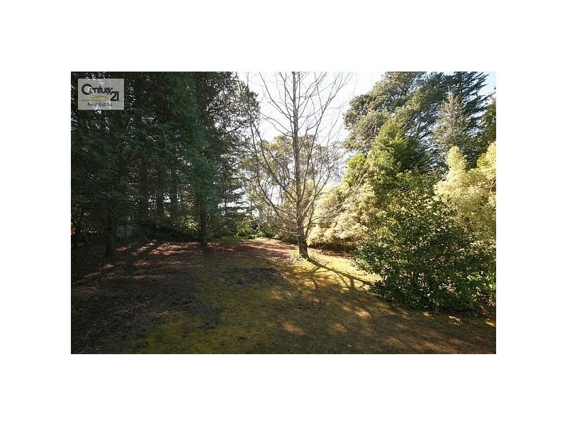 137 Blaxland Rd, Wentworth Falls NSW 2782