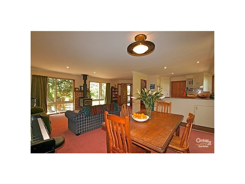 82 Backhouse St, Wentworth Falls NSW 2782
