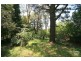 15 Fitzgerald St, Katoomba NSW 2780