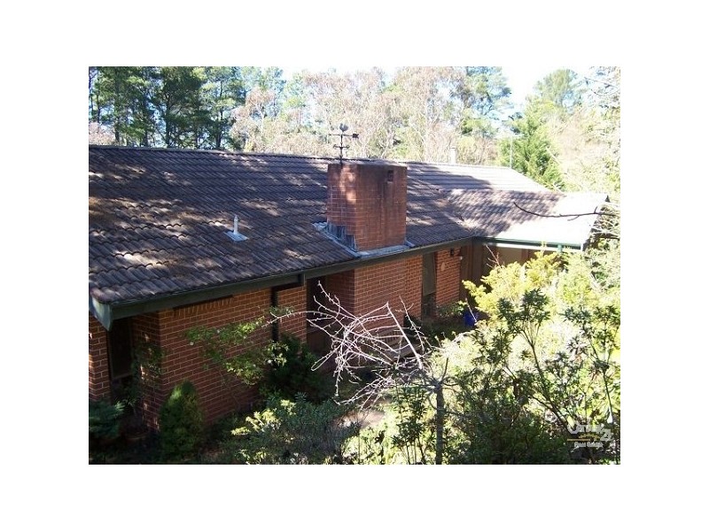 164 Falls Road, Wentworth Falls NSW 2782