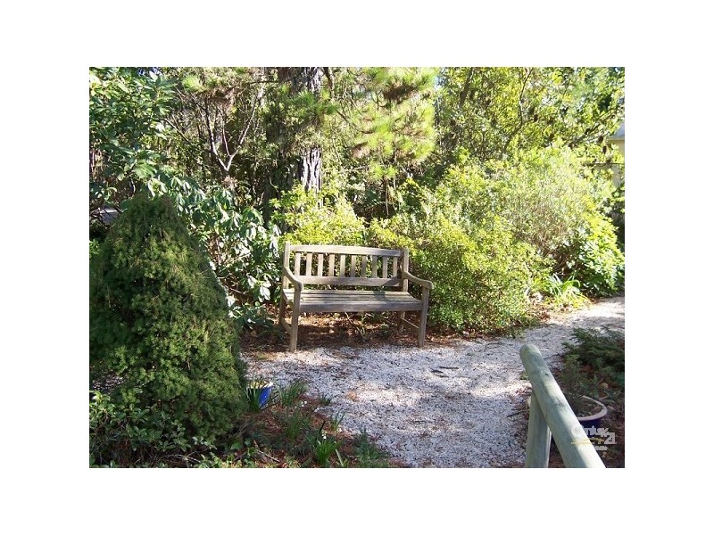 164 Falls Road, Wentworth Falls NSW 2782