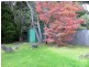 6 Coronation Drive, Wentworth Falls NSW 2782