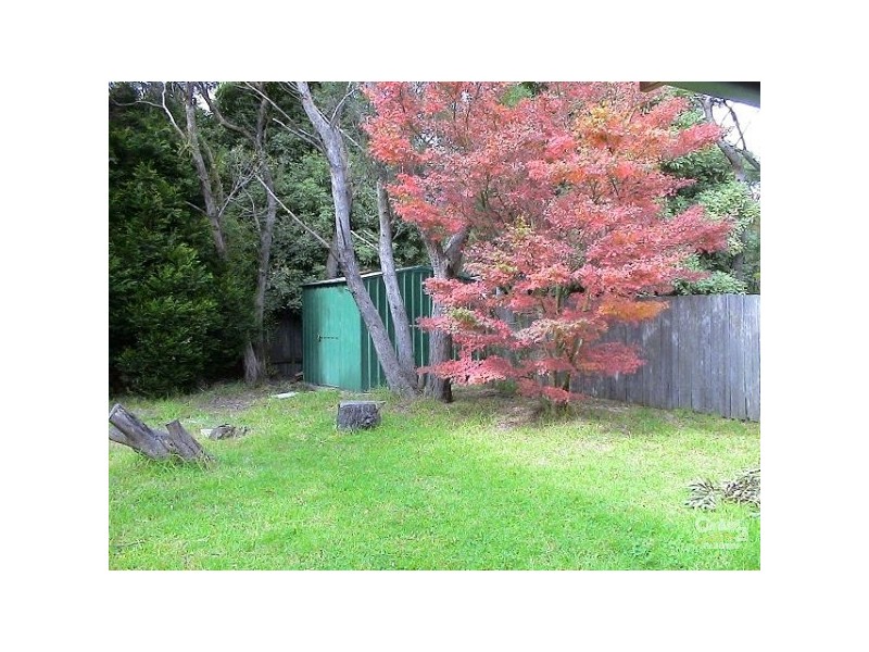 6 Coronation Drive, Wentworth Falls NSW 2782