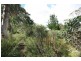 58 First Ave, Katoomba NSW 2780