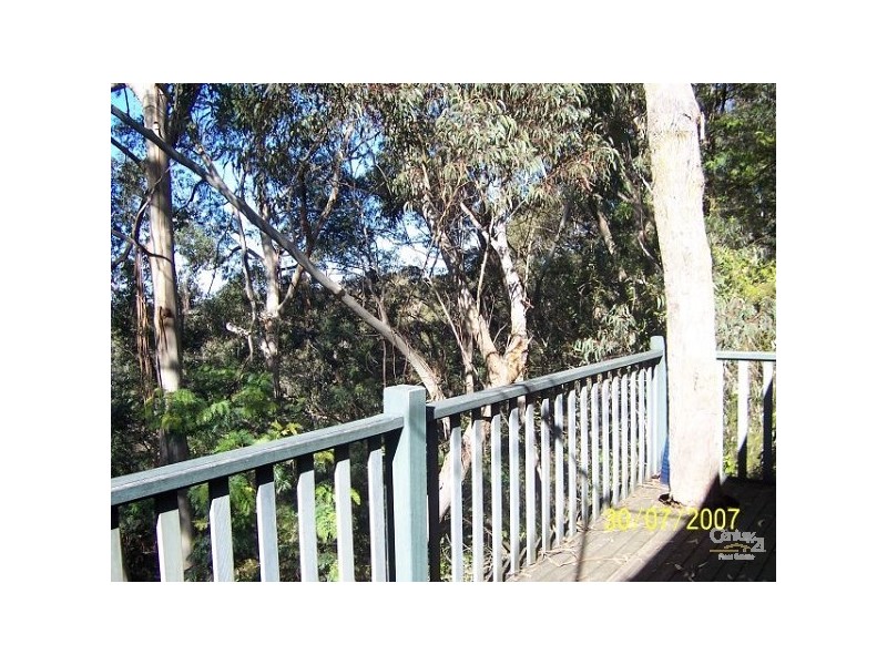 Wentworth Falls NSW 2782