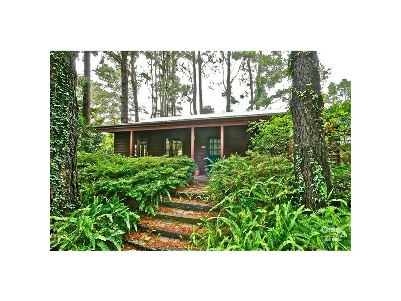 242 Great Western Highway, Wentworth Falls NSW 2782