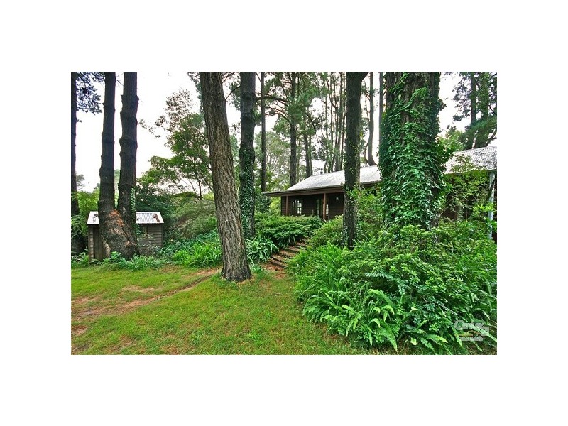 242 Great Western Highway, Wentworth Falls NSW 2782