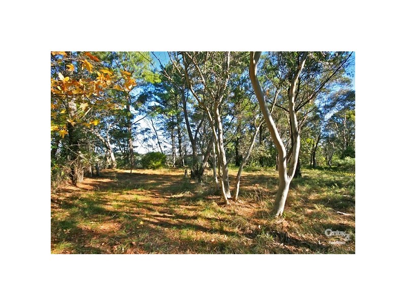 16 Yester Rd, Wentworth Falls NSW 2782