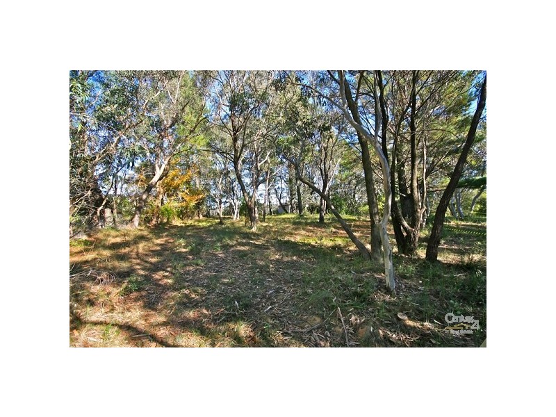16 Yester Rd, Wentworth Falls NSW 2782