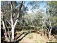 18 Yester Rd, Wentworth Falls NSW 2782