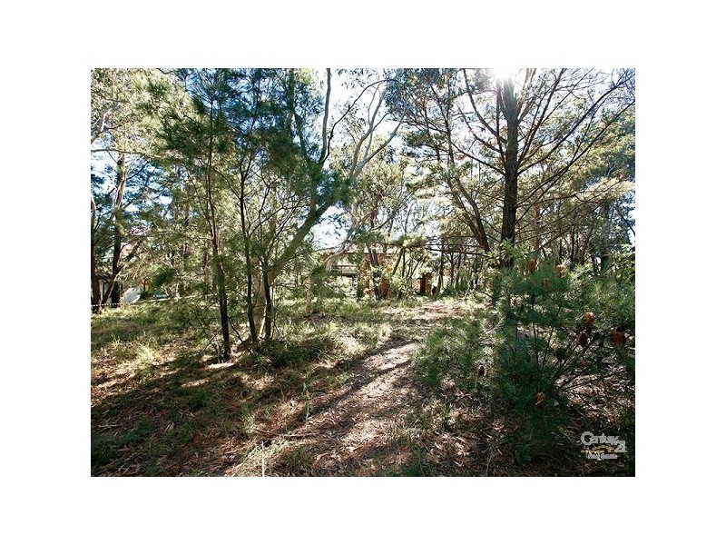 18 Yester Rd, Wentworth Falls NSW 2782