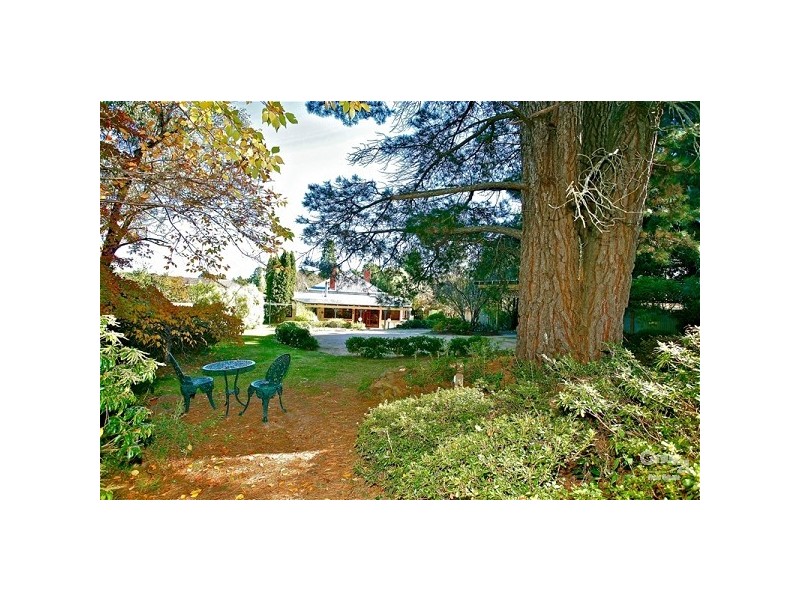 20 Blackheath St, Leura NSW 2780