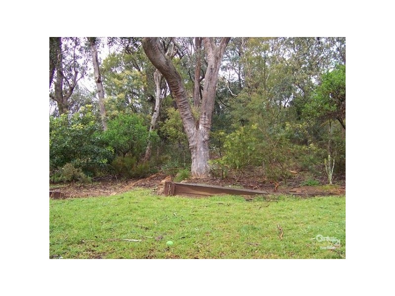 31 Fifth Avenue, Katoomba NSW 2780