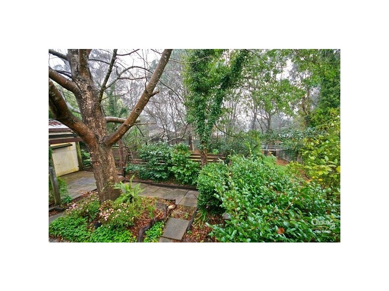 41 Hill Street, Wentworth Falls NSW 2782