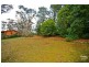 20a Asquith Ave, Wentworth Falls NSW 2782