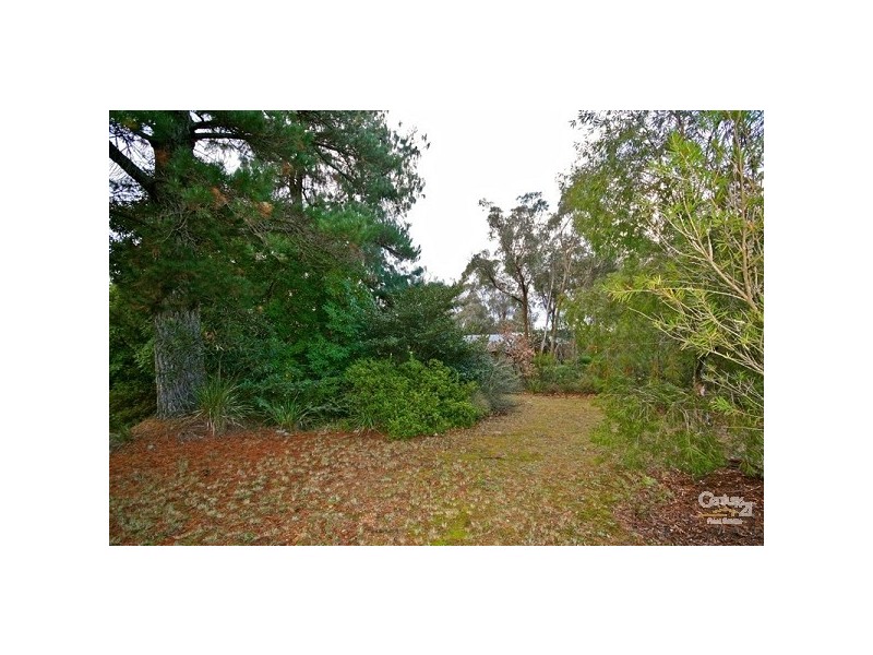 20a Asquith Ave, Wentworth Falls NSW 2782