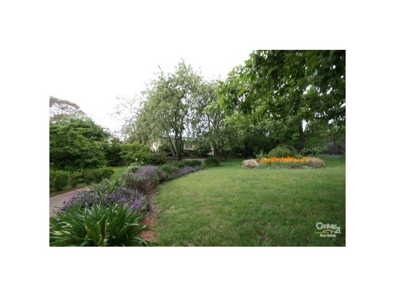 5 Fern Street, Leura NSW 2780