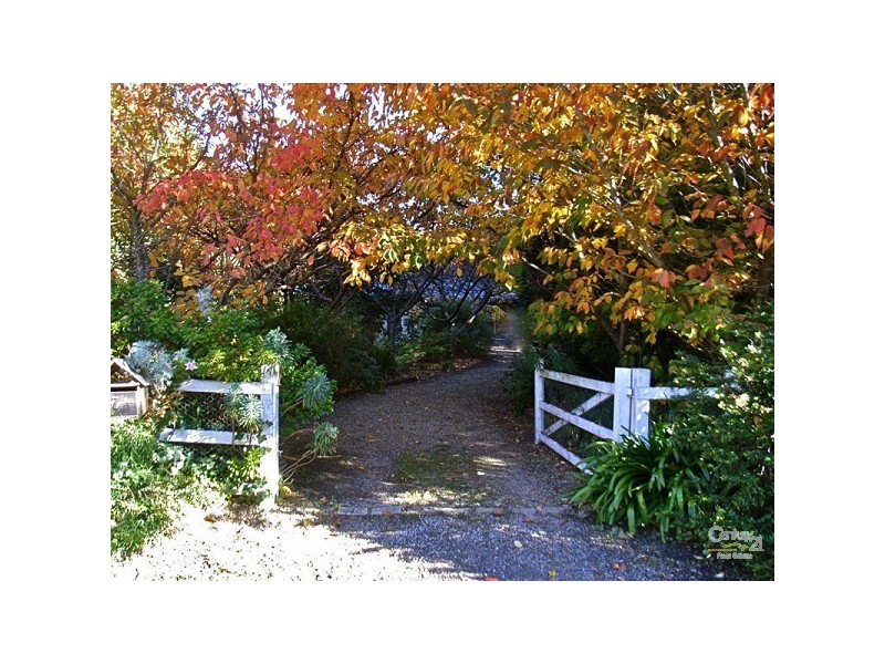 7 Queen Elizabeth Drive, Wentworth Falls NSW 2782