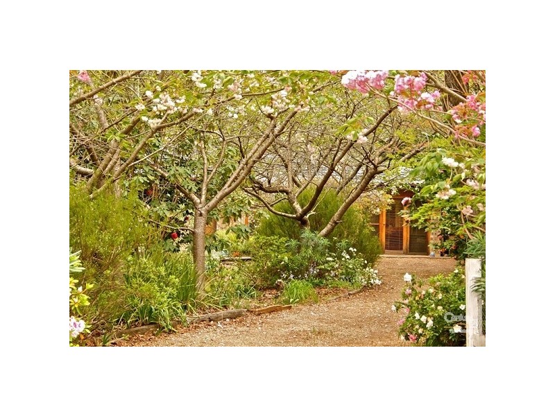 7 Queen Elizabeth Drive, Wentworth Falls NSW 2782