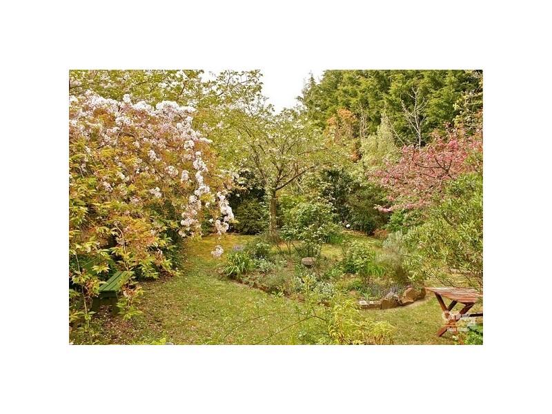 7 Queen Elizabeth Drive, Wentworth Falls NSW 2782